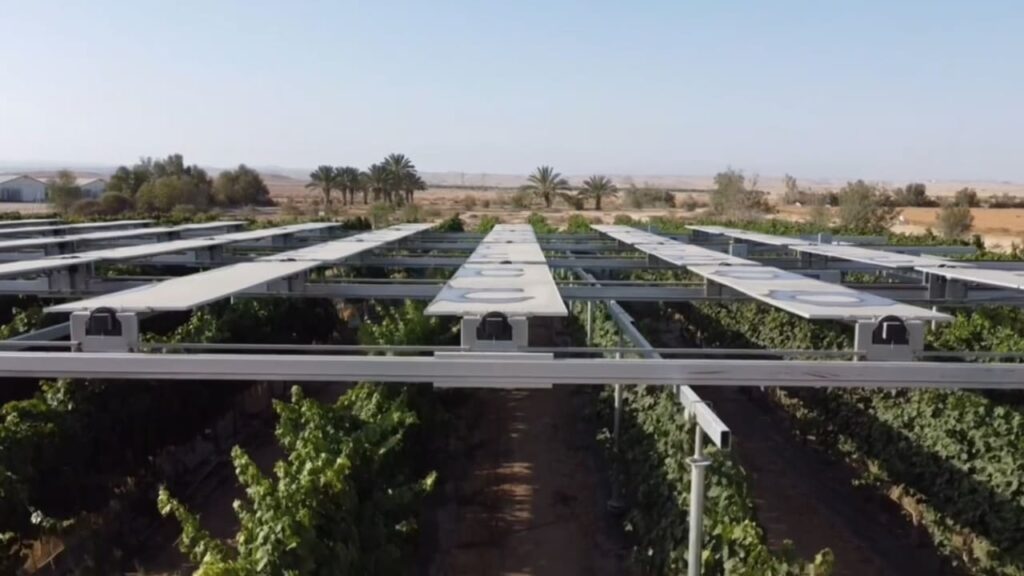 Agrilight &ndash; стартап-проект в сельскохозяйственном секторе