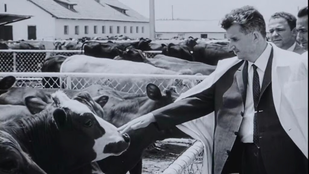 «Курятники и фермы для евреев»: как Израиль платил коммунистической Румынии за алию